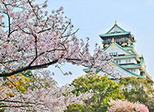 官方：阿森纳将在北京时间5月31日21点举行夺冠游行